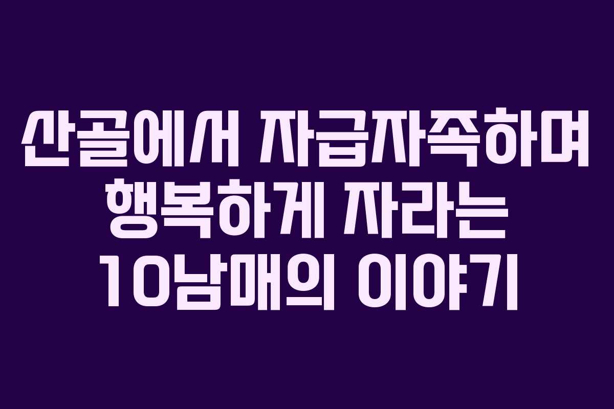 산골에서 자급자족하며 행복하게 자라는 10남매의 이야기