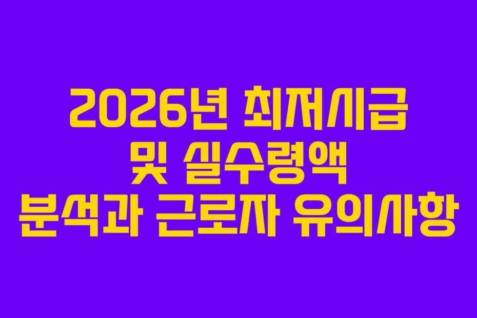 2026년 최저시급 및 실수령액 분석과 근로자 유의사항