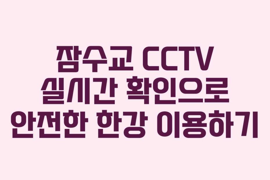 잠수교 CCTV 실시간 확인으로 안전한 한강 이용하기