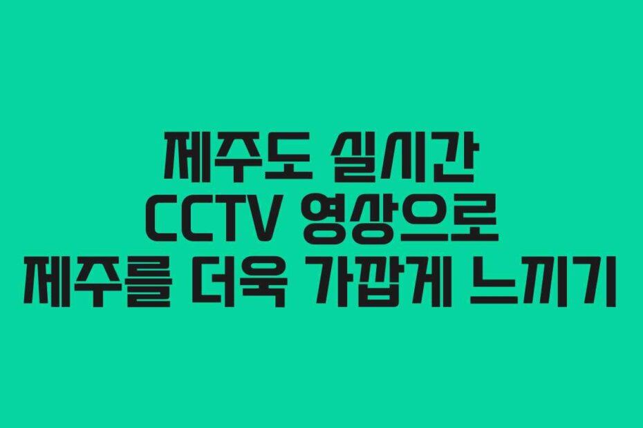 제주도 실시간 CCTV 영상으로 제주를 더욱 가깝게 느끼기