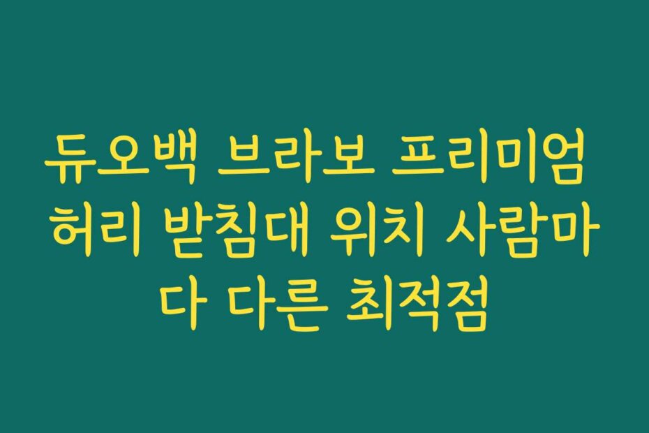 듀오백 브라보 프리미엄 허리 받침대 위치 사람마다 다른 최적점