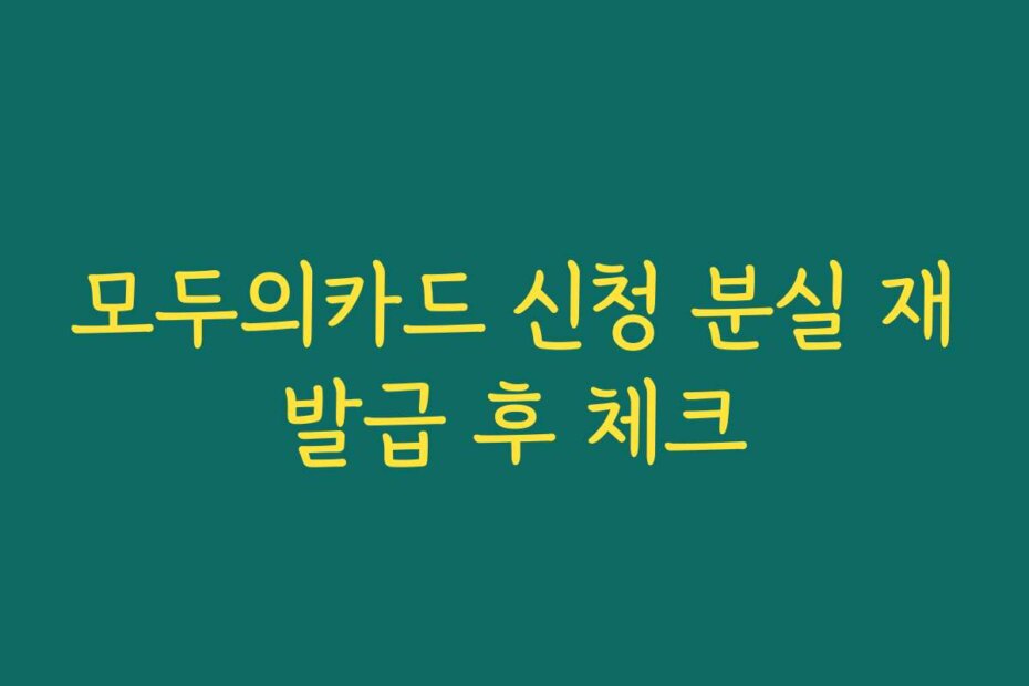 모두의카드 신청 분실 재발급 후 체크