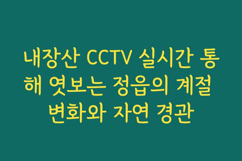 내장산 CCTV 실시간 통해 엿보는 정읍의 계절 변화와 자연 경관
