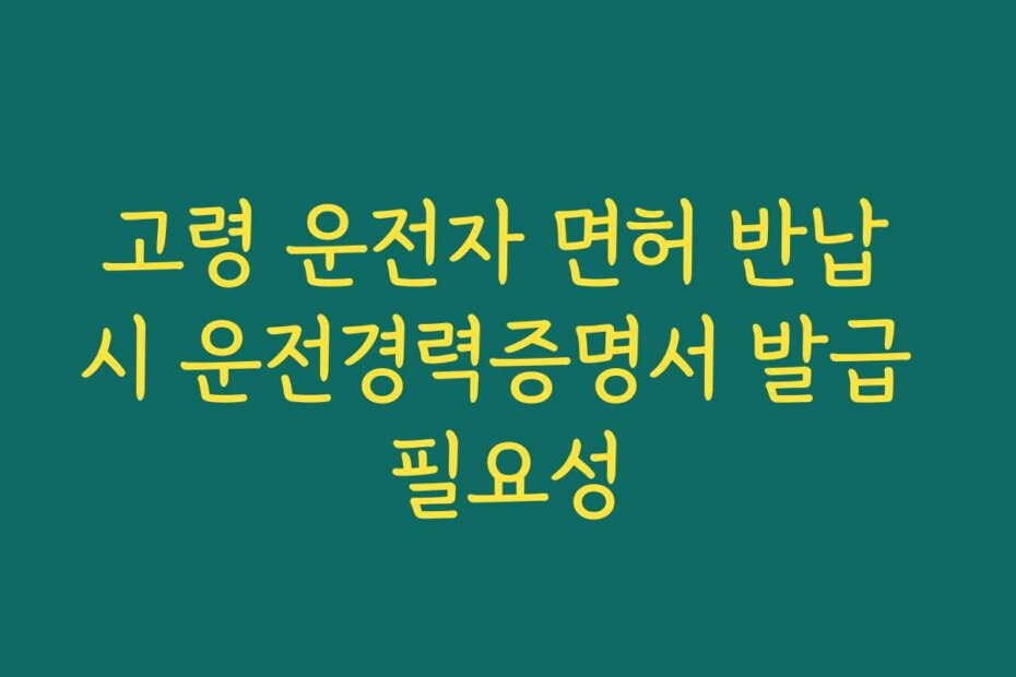 고령 운전자 면허 반납 시 운전경력증명서 발급 필요성