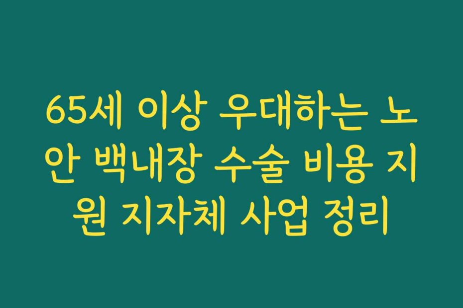 65세 이상 우대하는 노안 백내장 수술 비용 지원 지자체 사업 정리