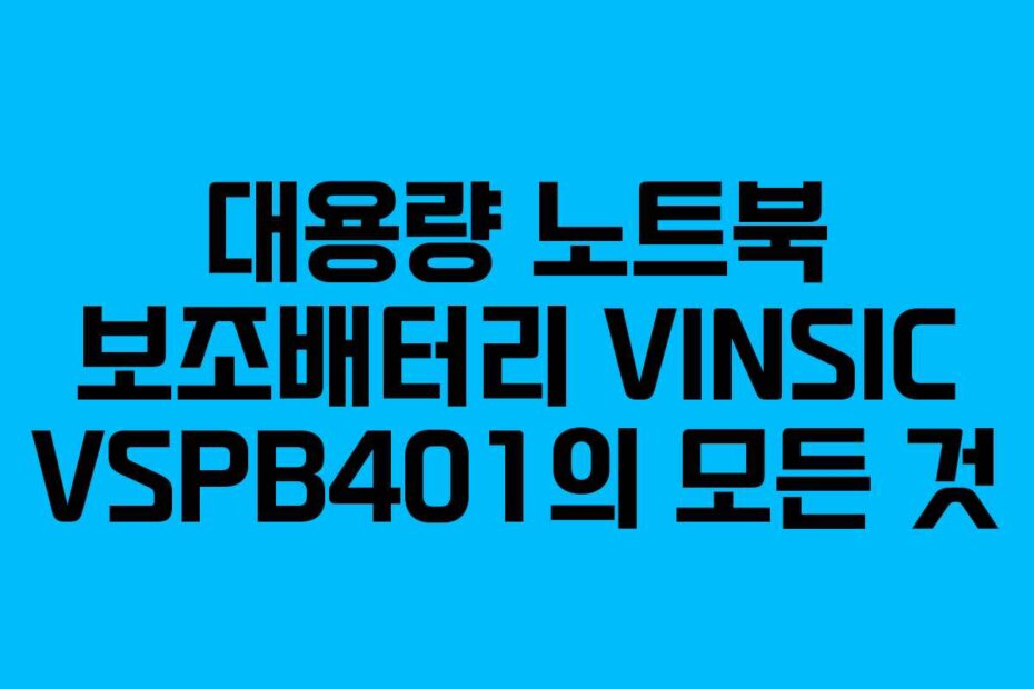 대용량 노트북 보조배터리 VINSIC VSPB401의 모든 것