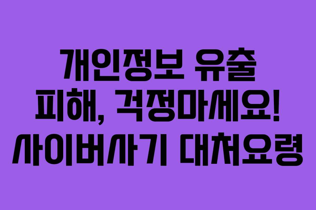 개인정보 유출 피해, 걱정마세요! 사이버사기 대처요령