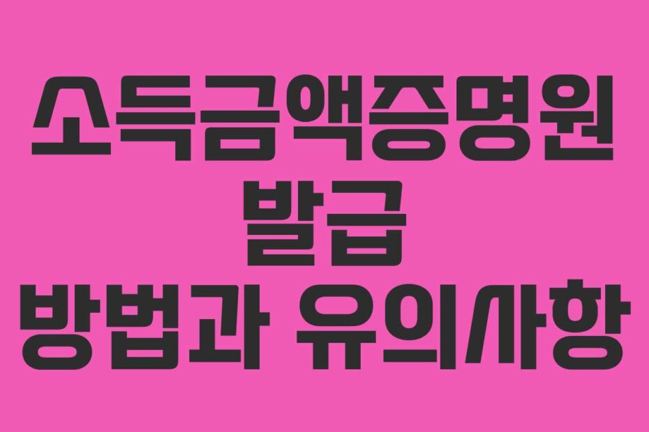 소득금액증명원 발급 방법과 유의사항