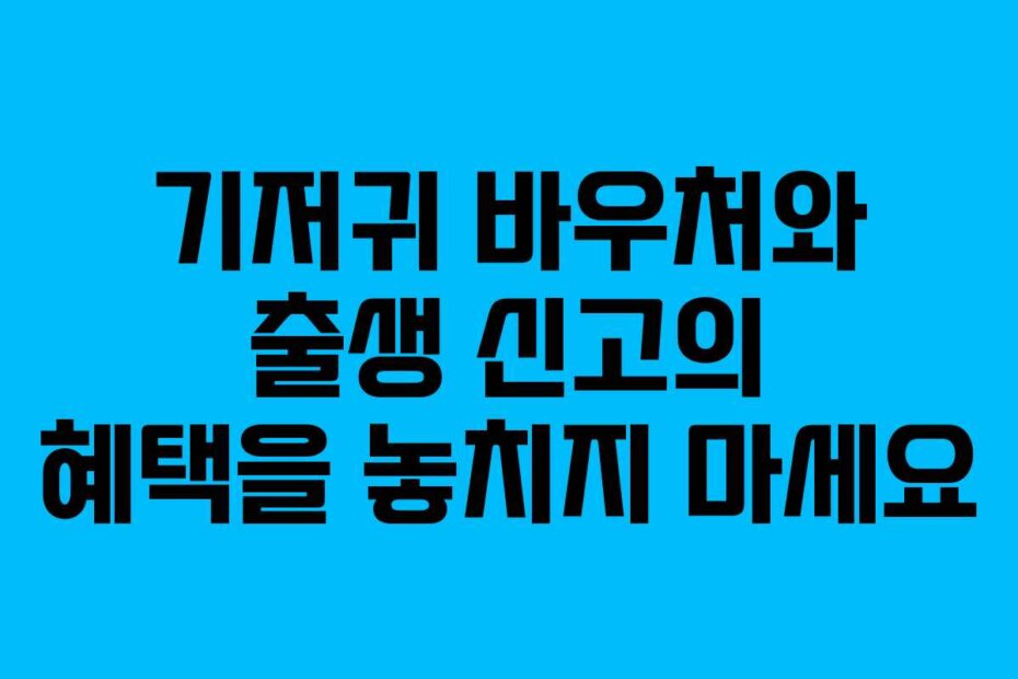 기저귀 바우처와 출생 신고의 혜택을 놓치지 마세요
