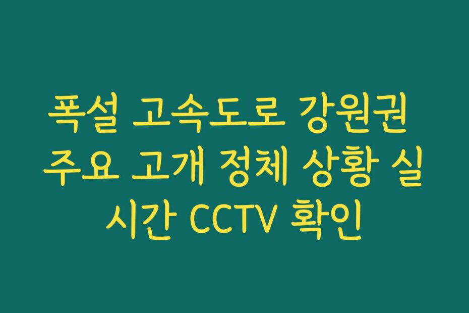 폭설 고속도로 강원권 주요 고개 정체 상황 실시간 CCTV 확인