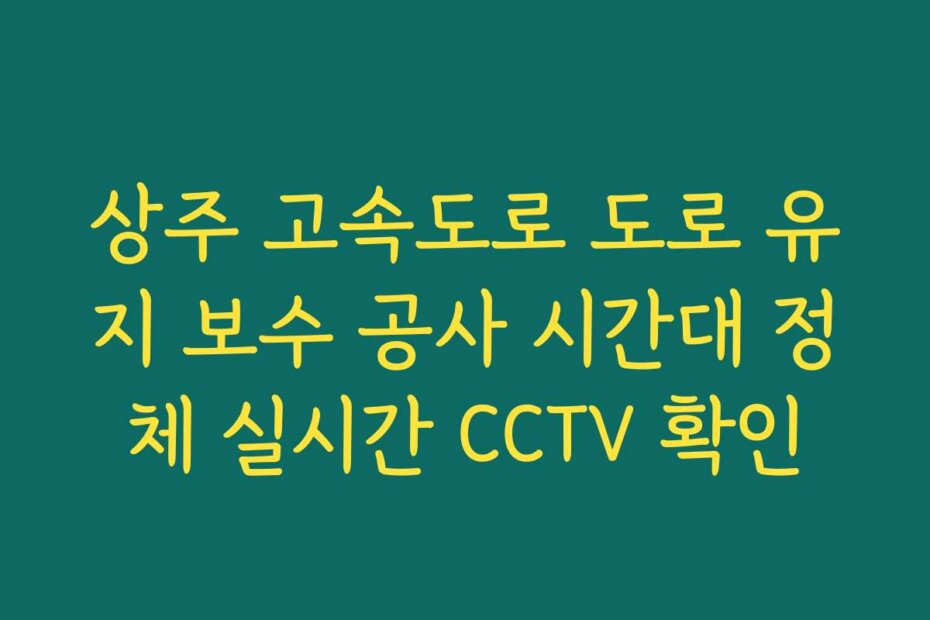상주 고속도로 도로 유지 보수 공사 시간대 정체 실시간 CCTV 확인
