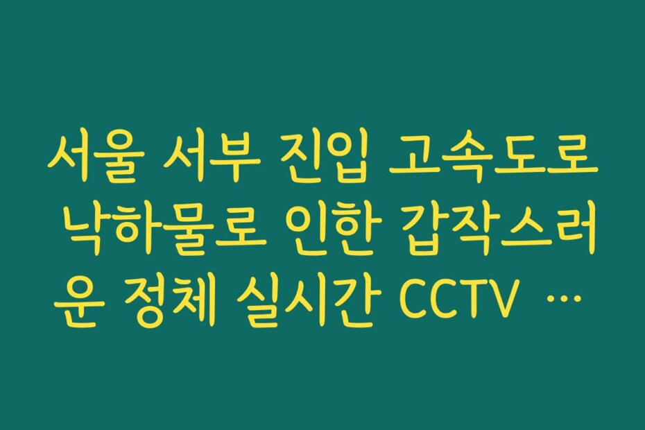 서울 서부 진입 고속도로 낙하물로 인한 갑작스러운 정체 실시간 CCTV 확인