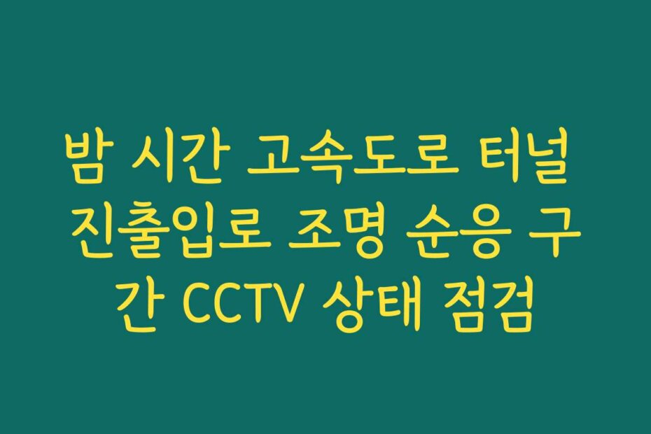 밤 시간 고속도로 터널 진출입로 조명 순응 구간 CCTV 상태 점검