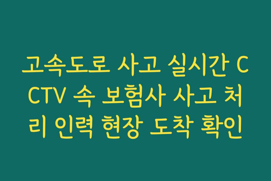 고속도로 사고 실시간 CCTV 속 보험사 사고 처리 인력 현장 도착 확인
