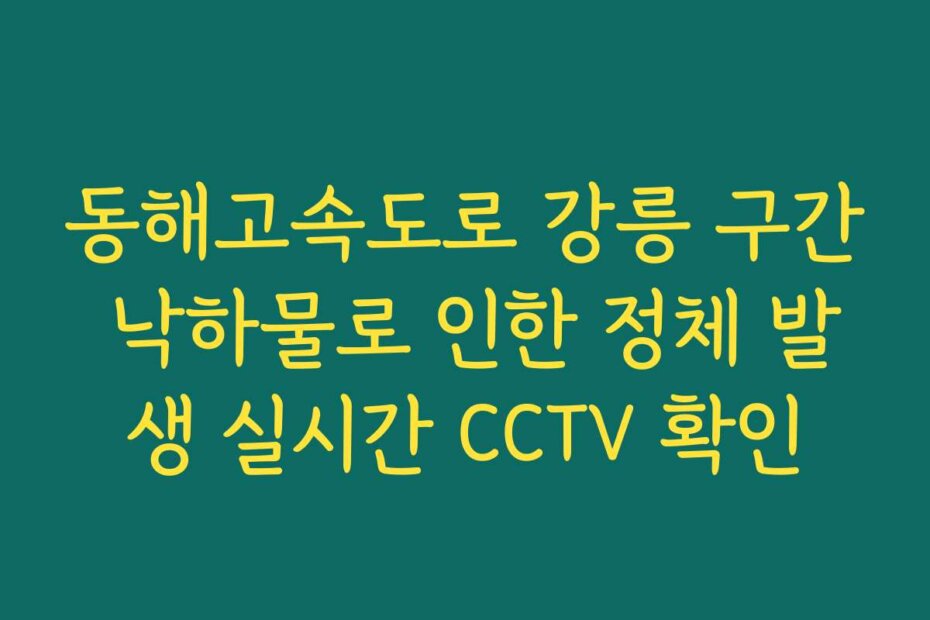 동해고속도로 강릉 구간 낙하물로 인한 정체 발생 실시간 CCTV 확인