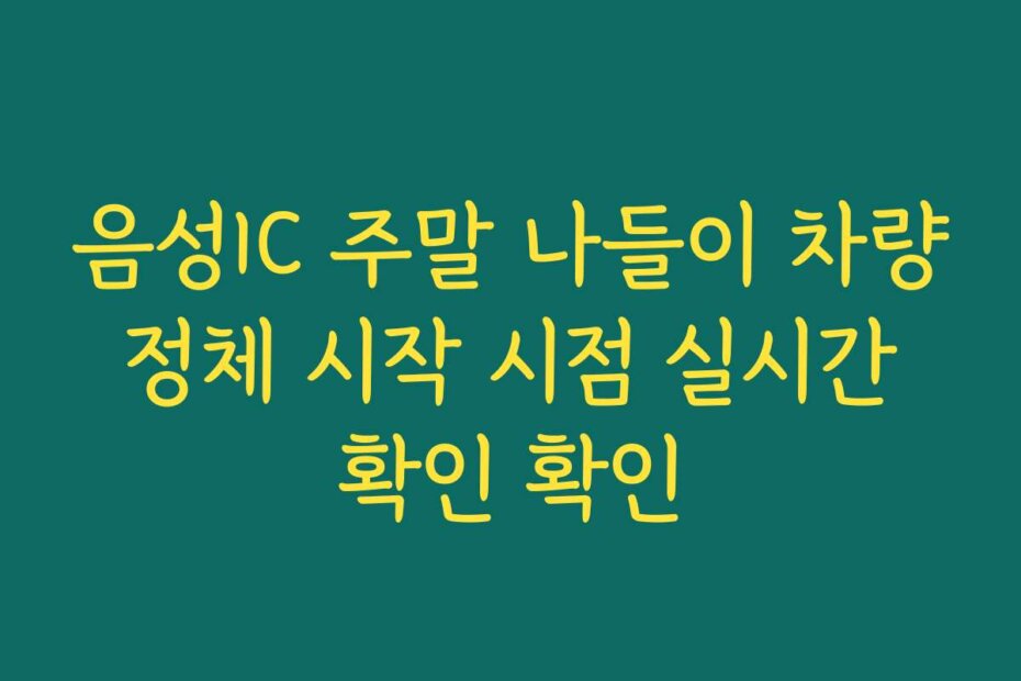 음성IC 주말 나들이 차량 정체 시작 시점 실시간 확인 확인