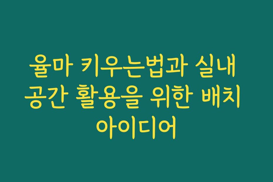 율마 키우는법과 실내 공간 활용을 위한 배치 아이디어