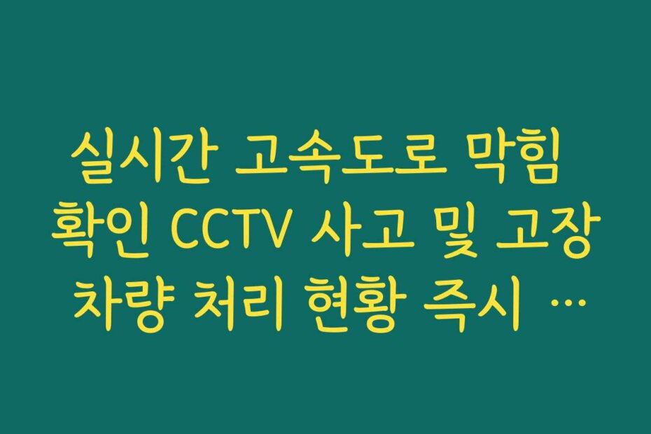 실시간 고속도로 막힘 확인 CCTV 사고 및 고장 차량 처리 현황 즉시 체크