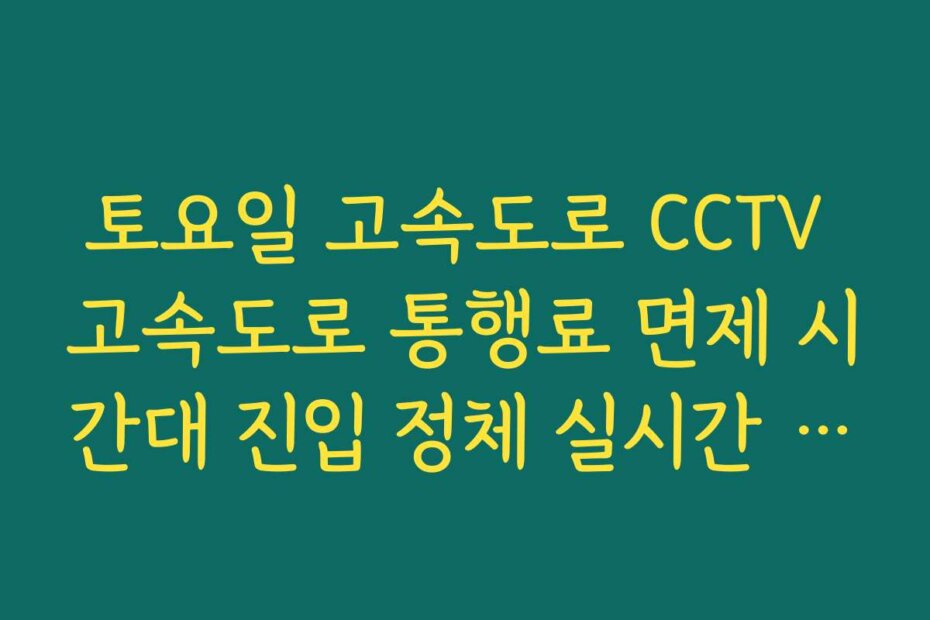 토요일 고속도로 CCTV 고속도로 통행료 면제 시간대 진입 정체 실시간 안내