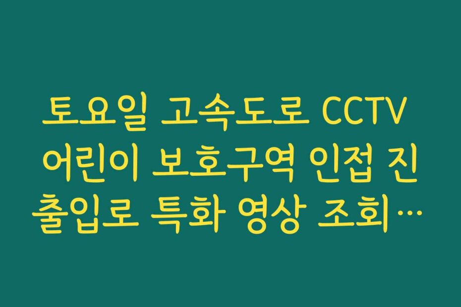 토요일 고속도로 CCTV 어린이 보호구역 인접 진출입로 특화 영상 조회 가이드 토요일 고속도로 CCTV 어린이 보호구역 인접 진출입로 특화 영상 조회 가이드