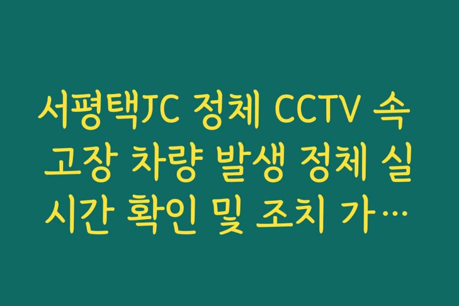 서평택JC 정체 CCTV 속 고장 차량 발생 정체 실시간 확인 및 조치 가이드