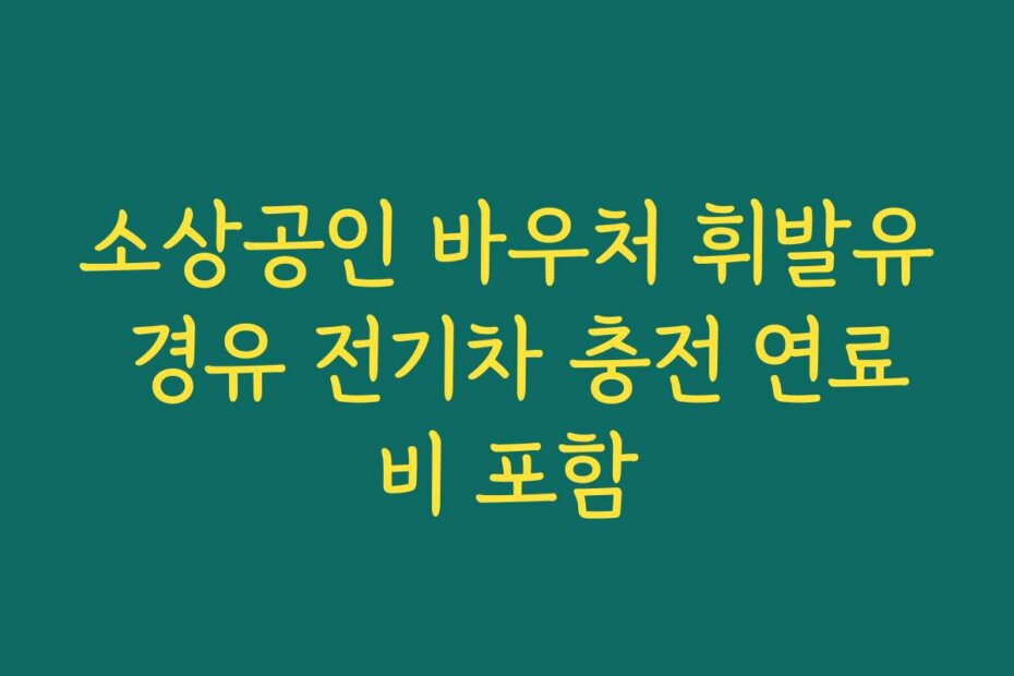 소상공인 바우처 휘발유 경유 전기차 충전 연료비 포함