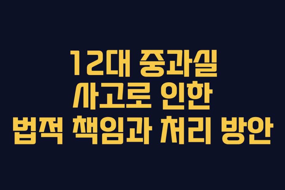12대 중과실 사고로 인한 법적 책임과 처리 방안