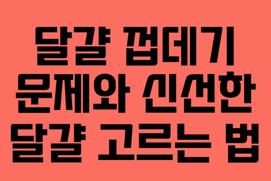 달걀 껍데기 문제와 신선한 달걀 고르는 법