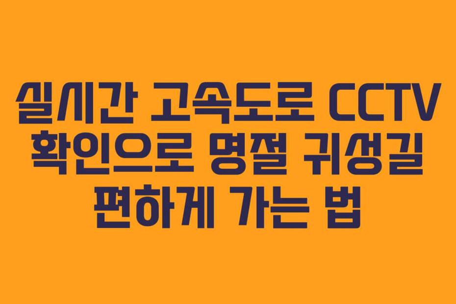 실시간 고속도로 CCTV 확인으로 명절 귀성길 편하게 가는 법