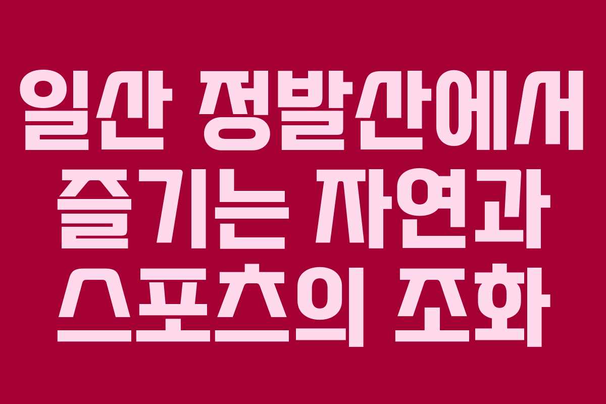 일산 정발산에서 즐기는 자연과 스포츠의 조화