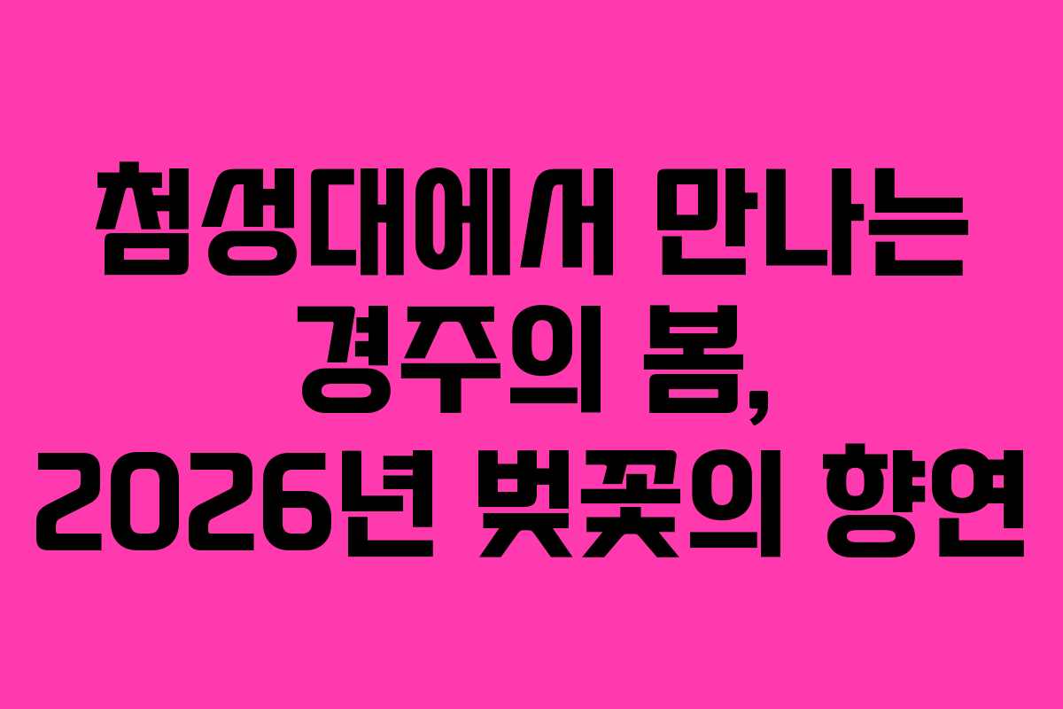 첨성대에서 만나는 경주의 봄, 2026년 벚꽃의 향연
