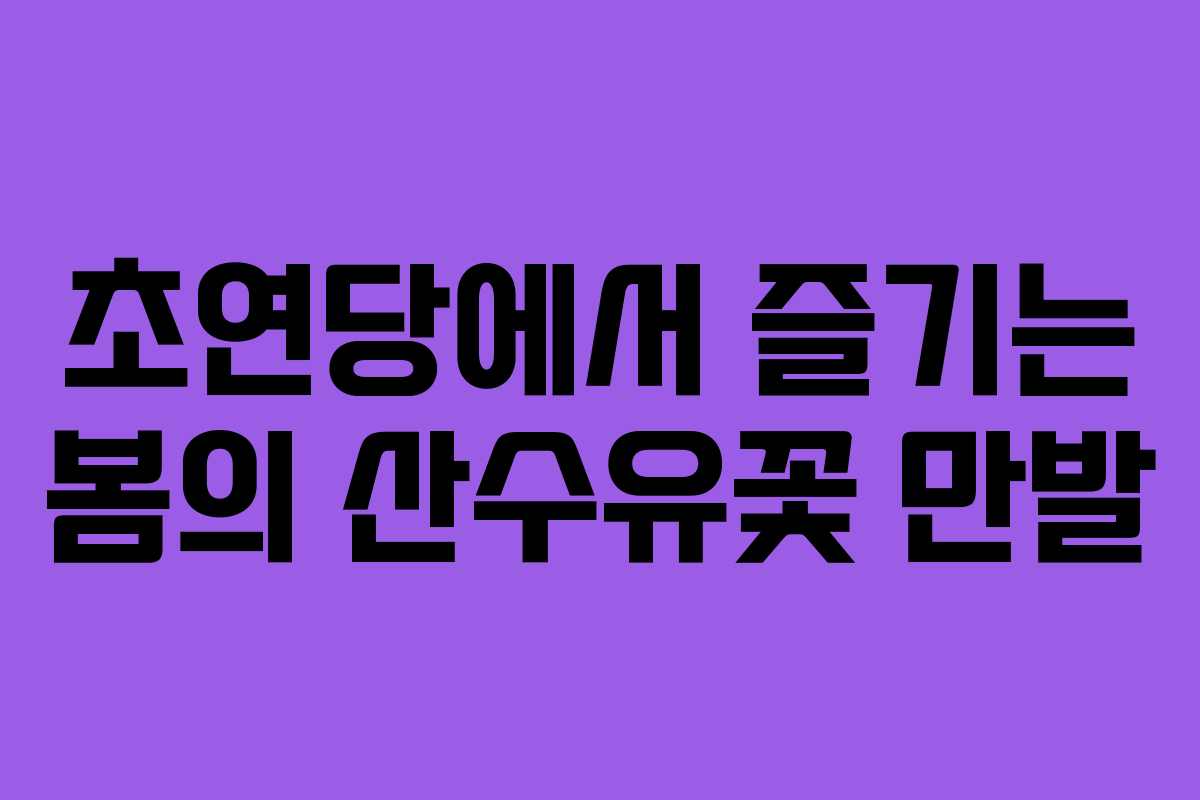 초연당에서 즐기는 봄의 산수유꽃 만발