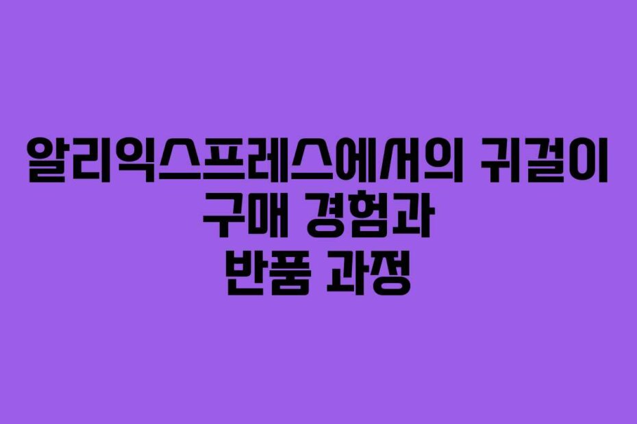 알리익스프레스에서의 귀걸이 구매 경험과 반품 과정