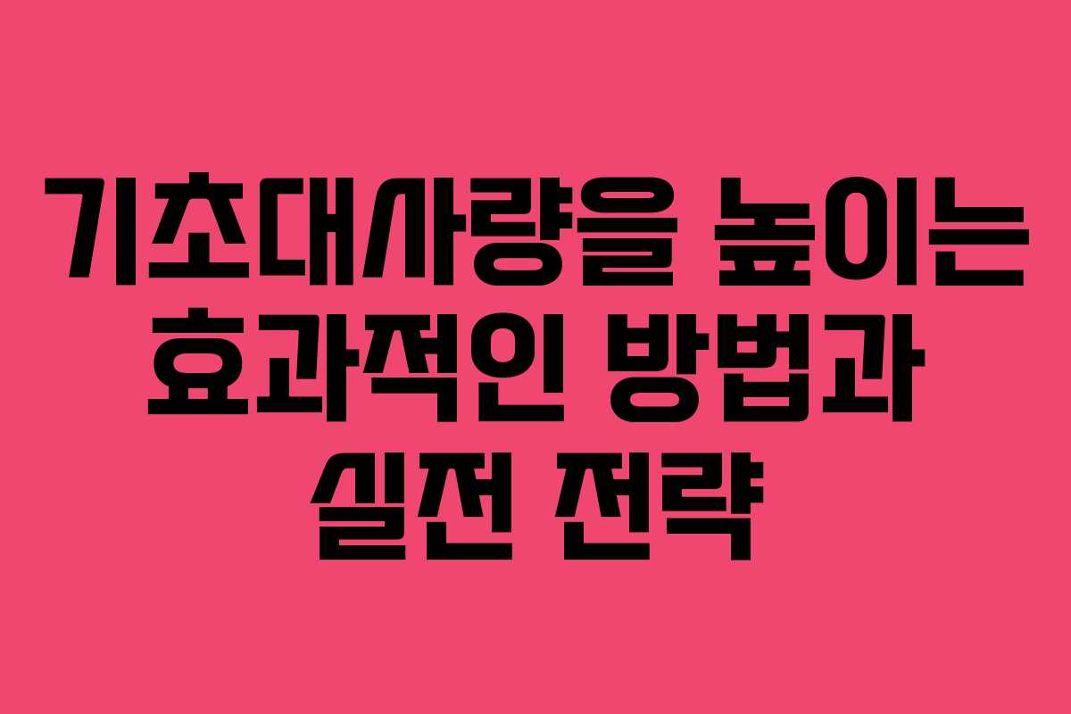 기초대사량을 높이는 효과적인 방법과 실전 전략