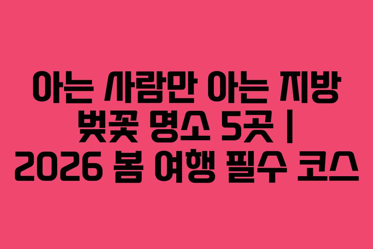 아는 사람만 아는 지방 벚꽃 명소 5곳 | 2026 봄 여행 필수 코스