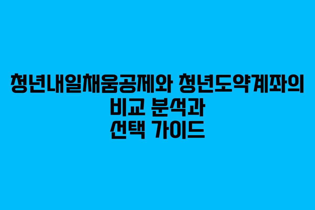 청년내일채움공제와 청년도약계좌의 비교 분석과 선택 가이드