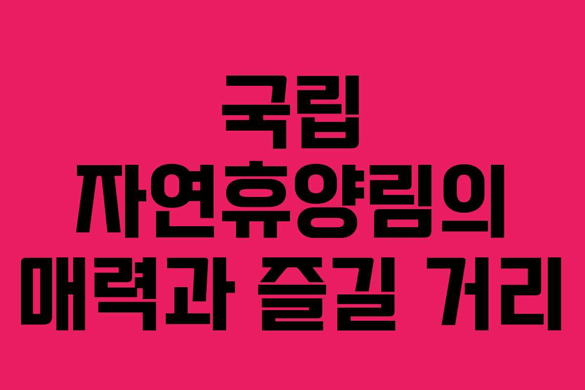 국립 자연휴양림의 매력과 즐길 거리