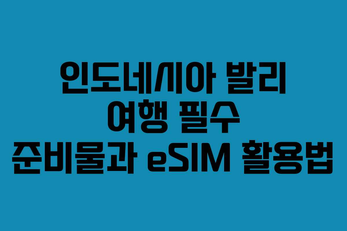 인도네시아 발리 여행 필수 준비물과 eSIM 활용법