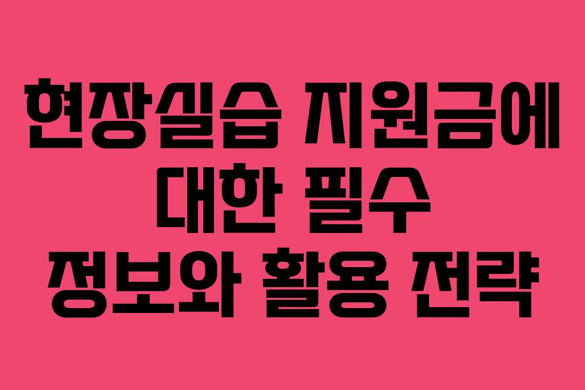 현장실습 지원금에 대한 필수 정보와 활용 전략