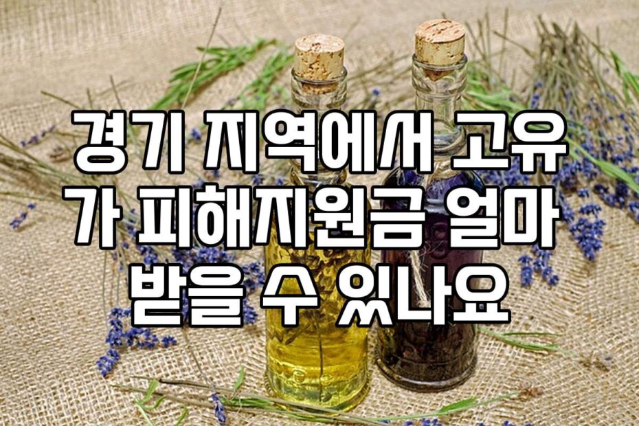 경기 지역에서 고유가 피해지원금 얼마 받을 수 있나요