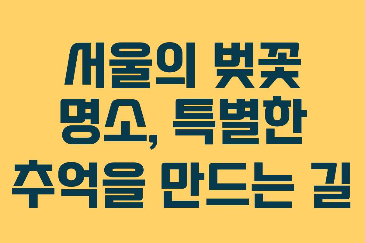서울의 벚꽃 명소, 특별한 추억을 만드는 길
