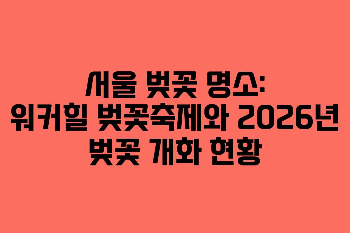 서울 벚꽃 명소: 워커힐 벚꽃축제와 2026년 벚꽃 개화 현황