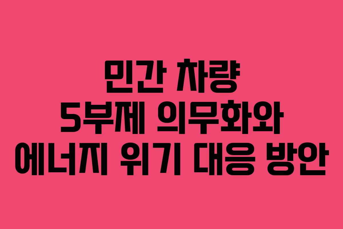 민간 차량 5부제 의무화와 에너지 위기 대응 방안