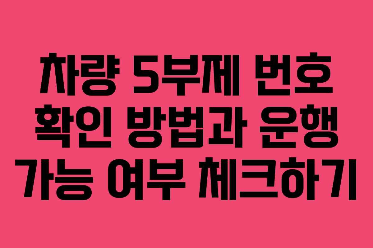 차량 5부제 번호 확인 방법과 운행 가능 여부 체크하기