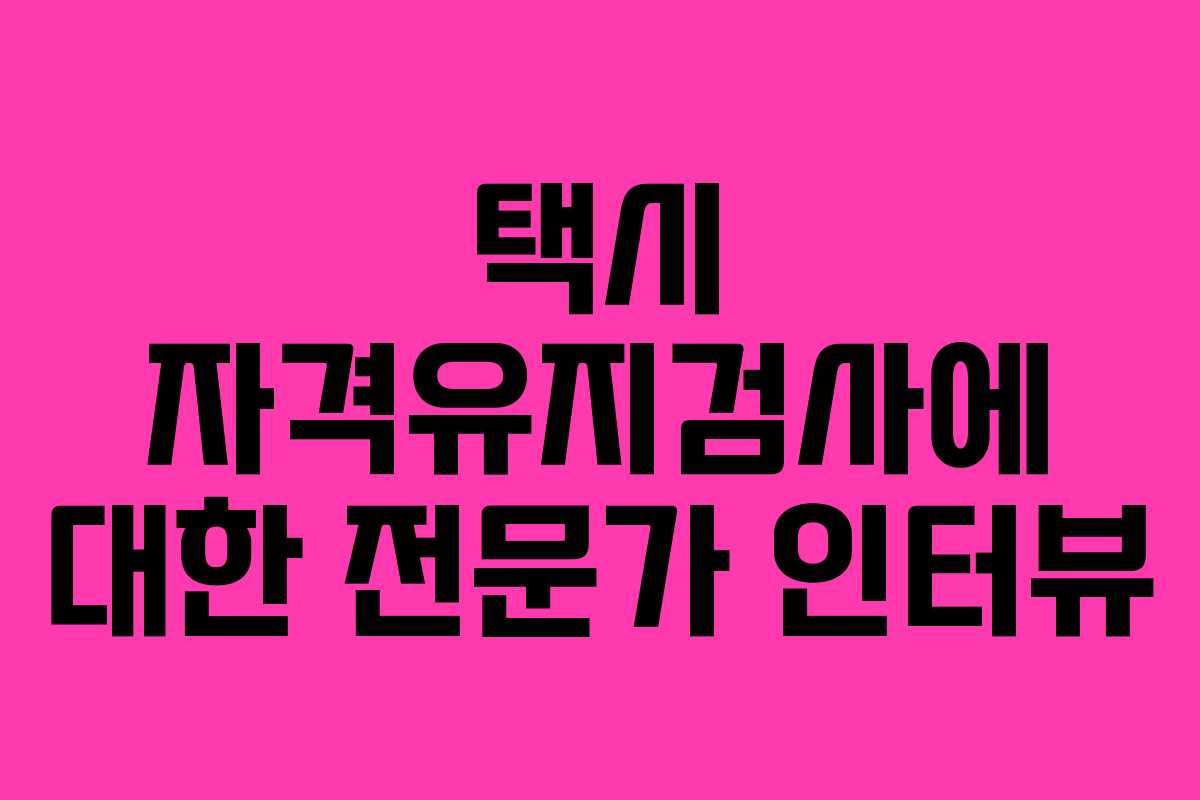 택시 자격유지검사에 대한 전문가 인터뷰