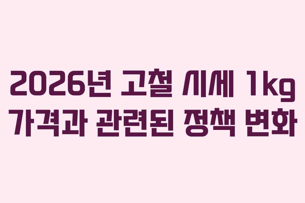 2026년 고철 시세 1kg 가격과 관련된 정책 변화