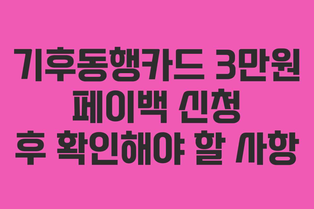 기후동행카드 3만원 페이백 신청 후 확인해야 할 사항