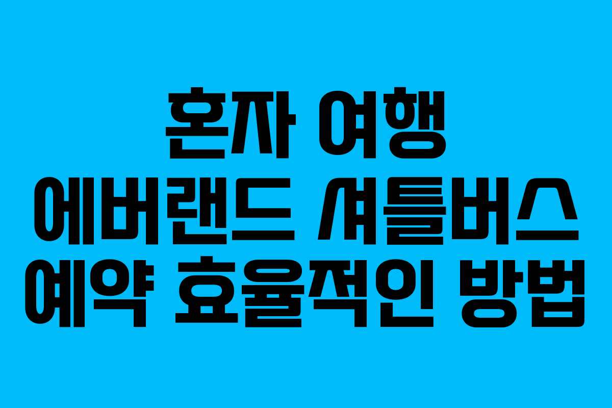 혼자 여행 에버랜드 셔틀버스 예약 효율적인 방법