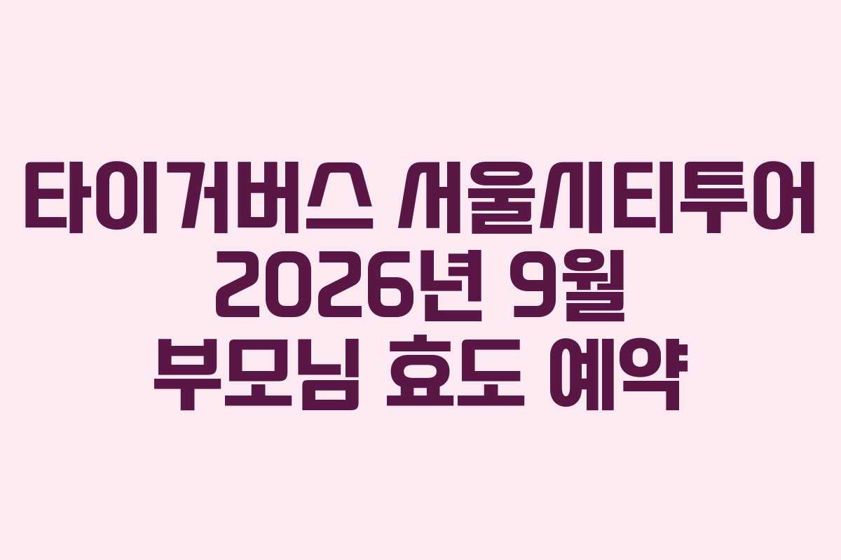 타이거버스 서울시티투어 2026년 9월 부모님 효도 예약