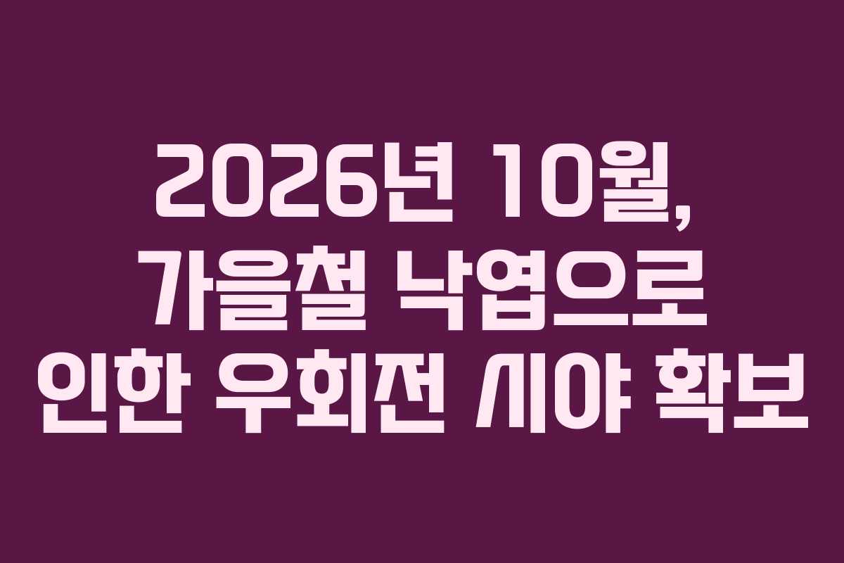 2026년 10월, 가을철 낙엽으로 인한 우회전 시야 확보